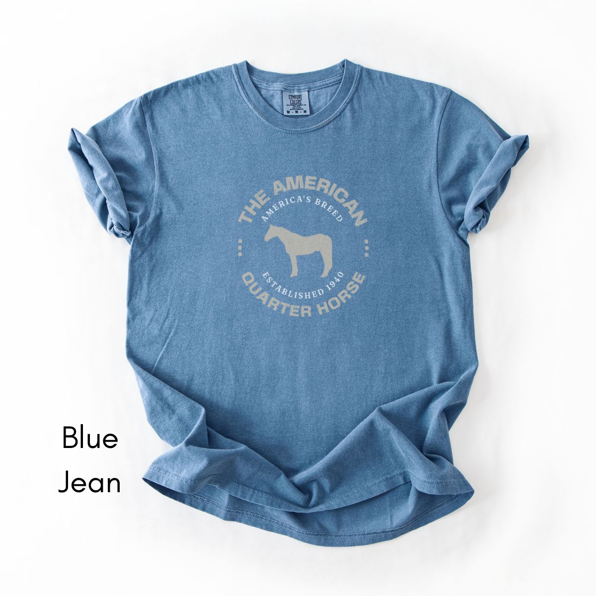 American Quarter Horse Breed Unisex Vintage Mid-Weight T-shirt