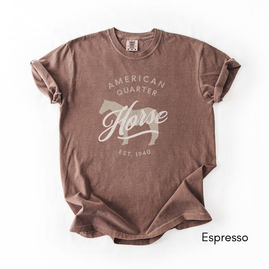 American Quarter Horse Breed Midweight Vintage Style T-Shirt