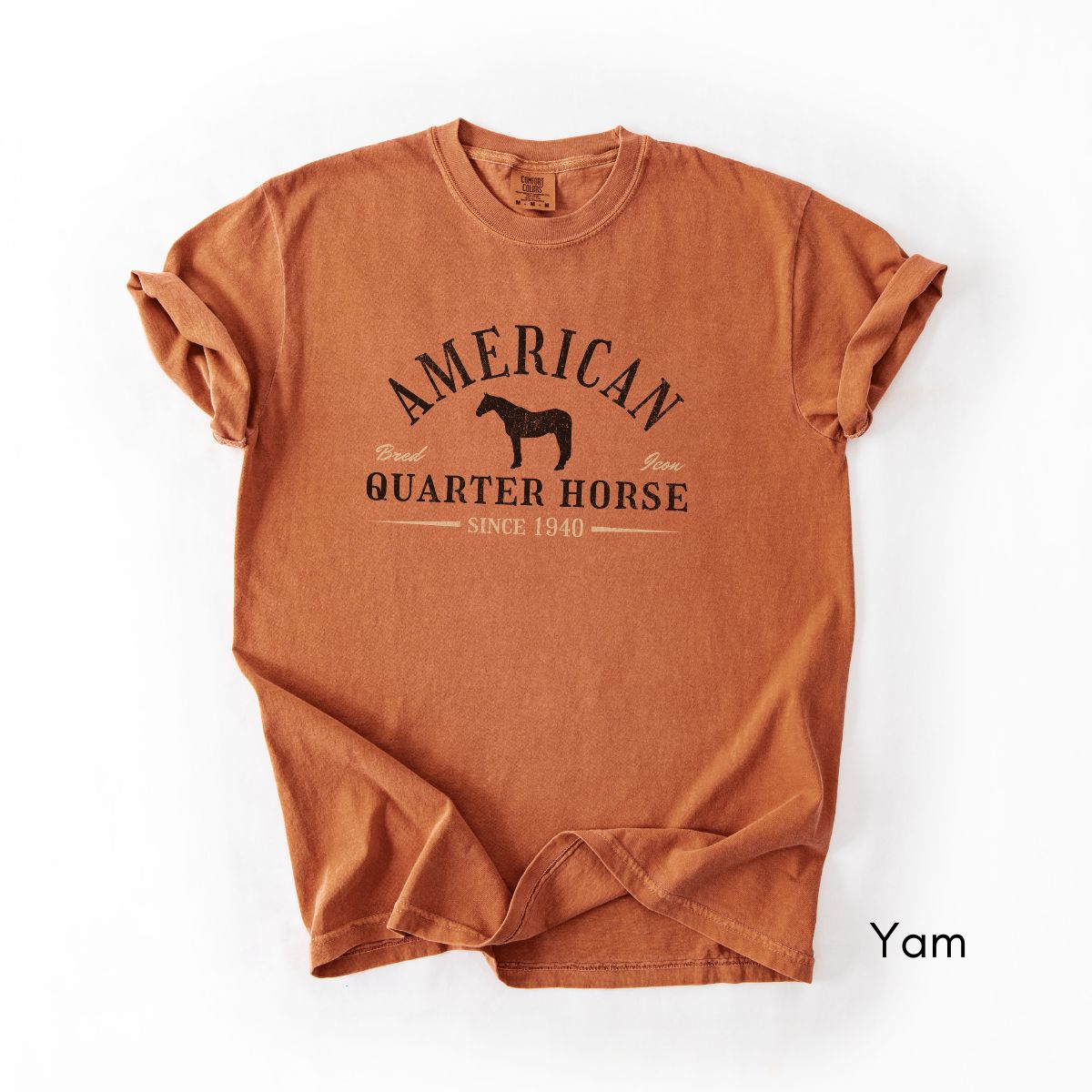 American Quarter Horse Breed Unisex Midweight Vintage Style T-Shirt