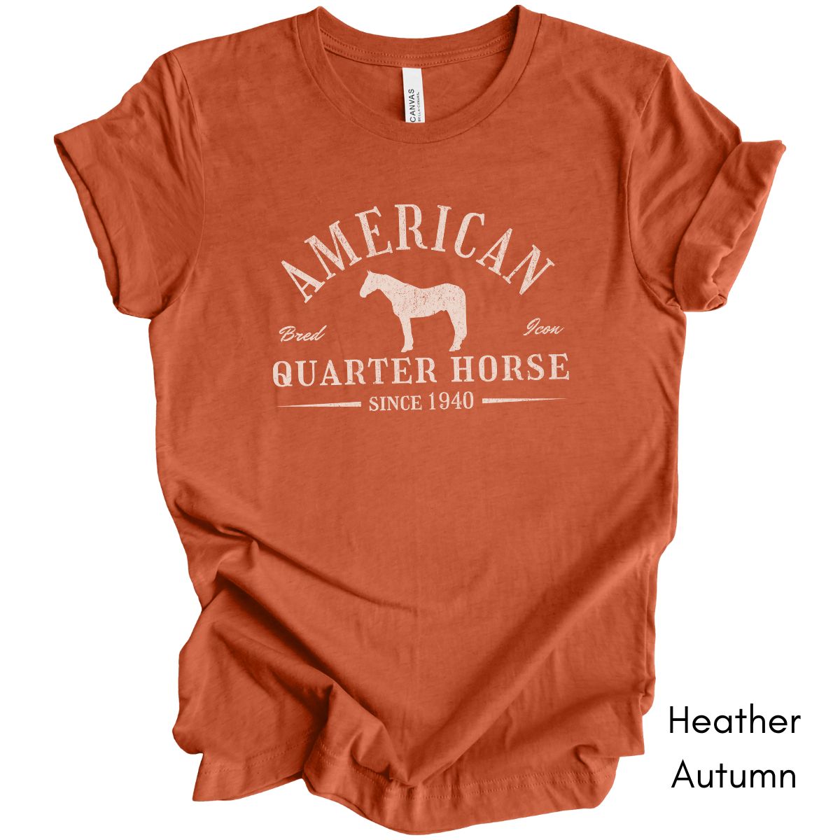 American Quarter Horse Light Weight Unisex Jersey T-shirt Dark Colors