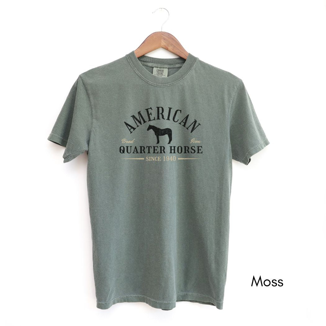 American Quarter Horse Breed Unisex Midweight Vintage Style T-Shirt