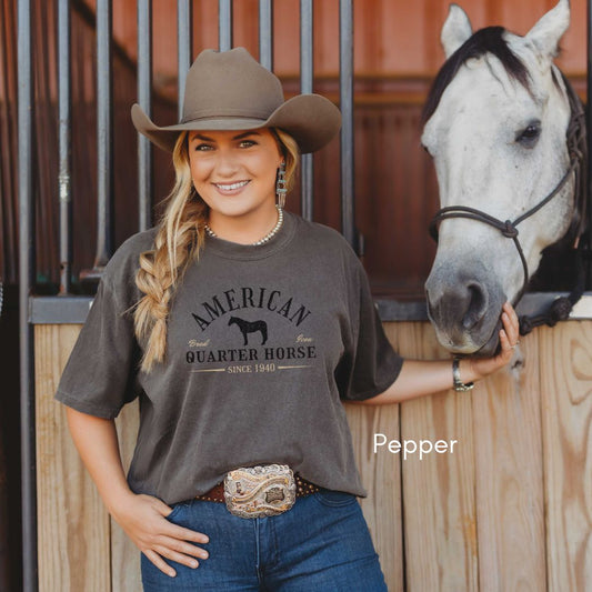 American Quarter Horse Breed Unisex Midweight Vintage Style T-Shirt