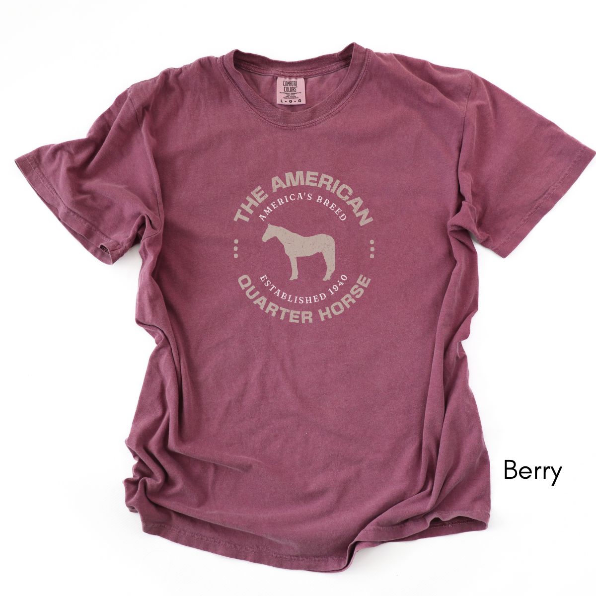 American Quarter Horse Breed Unisex Vintage Style T-shirt, Equestrian Graphic Tee, Horse Lover Gift, Western Lifestyle Tee