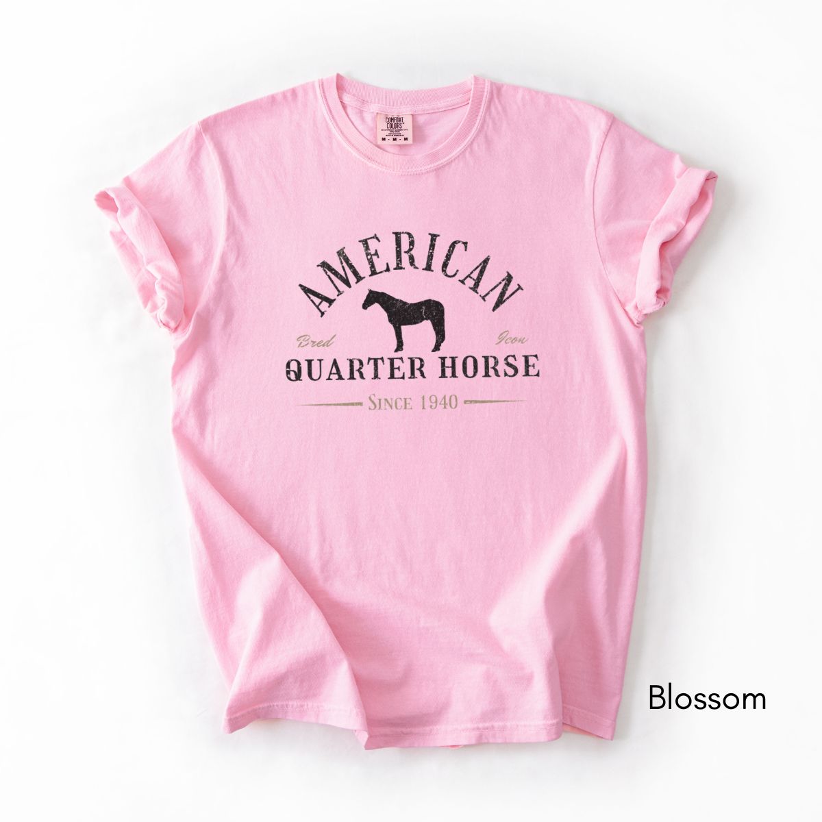 American Quarter Horse Breed Unisex Midweight Vintage Style T-Shirt