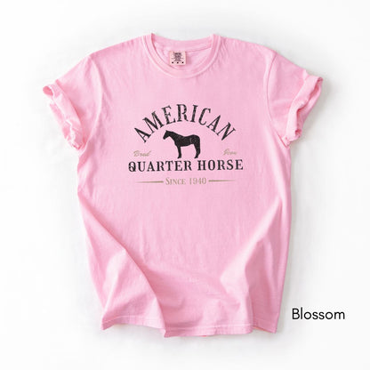 American Quarter Horse Breed Unisex Midweight Vintage Style T-Shirt