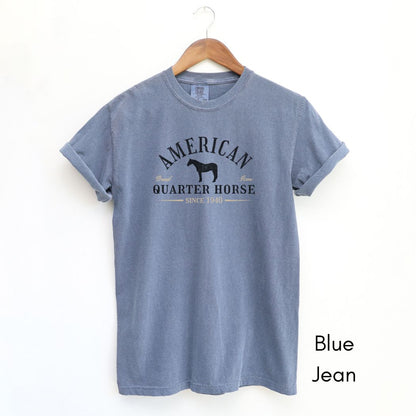 American Quarter Horse Breed Unisex Midweight Vintage Style T-Shirt