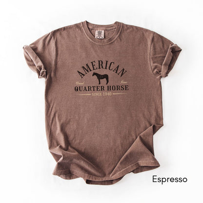 American Quarter Horse Breed Unisex Midweight Vintage Style T-Shirt
