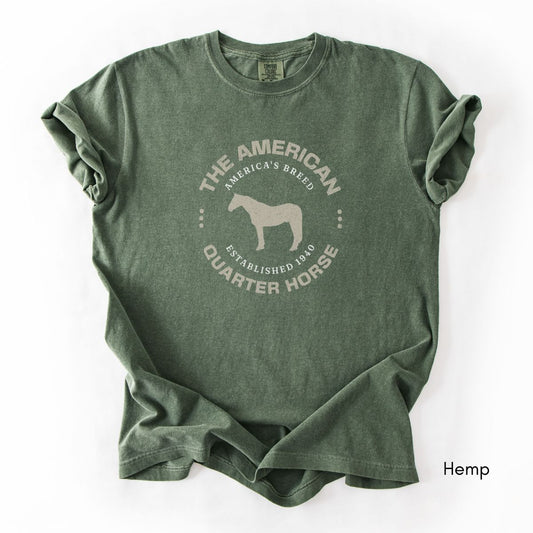 American Quarter Horse Breed Unisex Vintage Mid-Weight T-shirt