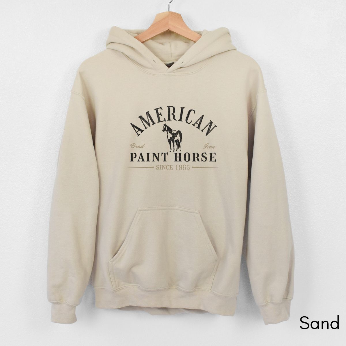 American Paint Horse Hoodie | Unisex Heavy Blend Hooded Sweatshirt | Horse Lover Shirt | Gift for Equestrian | Gift for Horse Lover