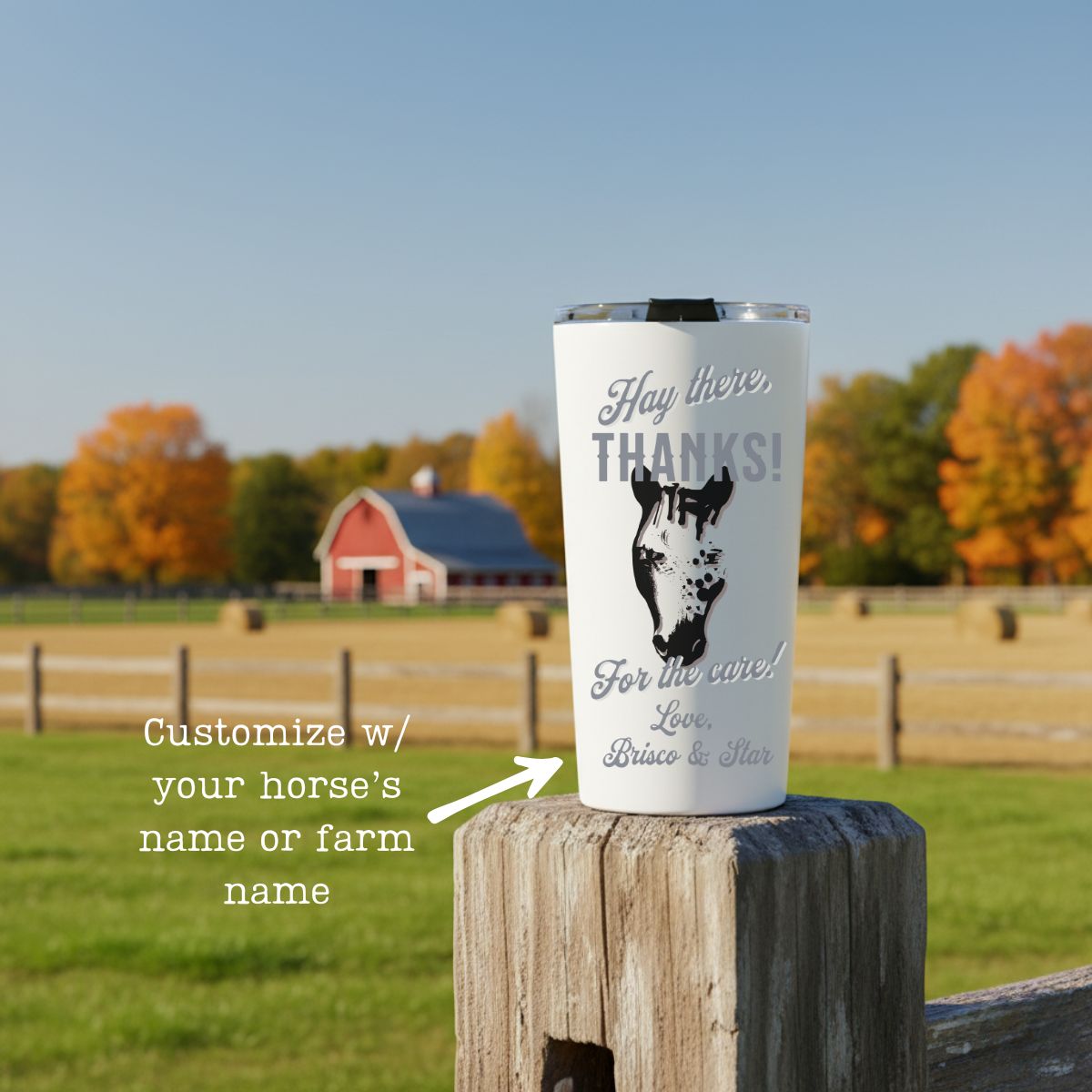 Custom Horse Care Giver Gift Tumbler 20oz