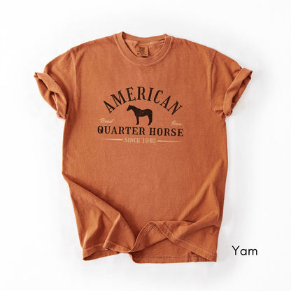 American Quarter Horse Breed Unisex Midweight Vintage Style T-Shirt